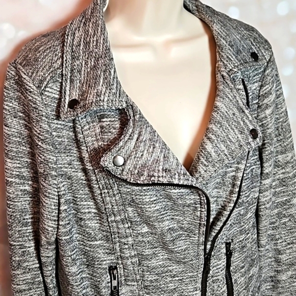Market & Spruce | Gray French Terry Moto Jacket - Picture 3 of 10